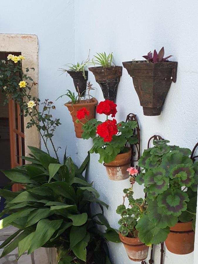 Rua Das Rosas 22/B&B 피게이라다포즈 외부 사진